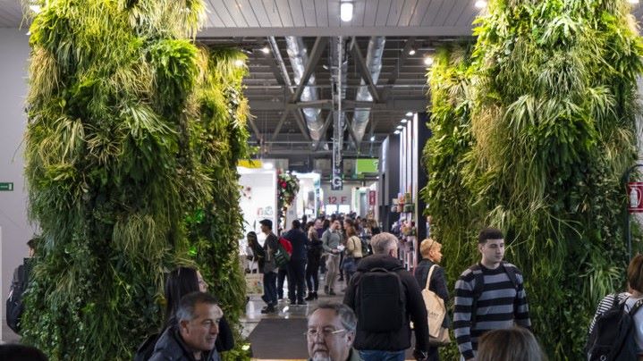 myplant ppal|myplant verde deportivo|_00D3420 LR|DSC01186 LR